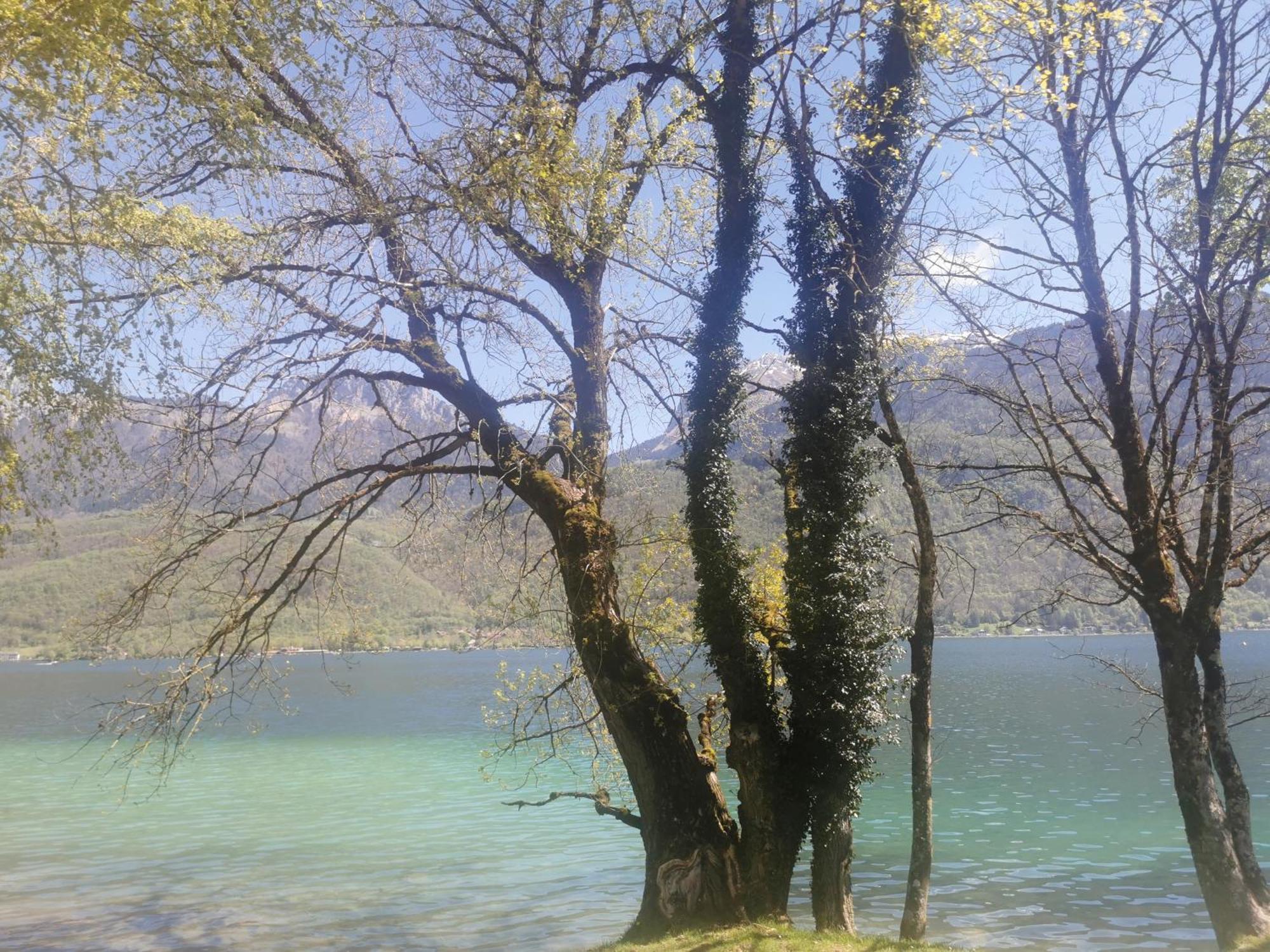 Charmant Appartement A 1 Minute Du Lac Annecy Exterior photo